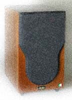 r100.jpg
